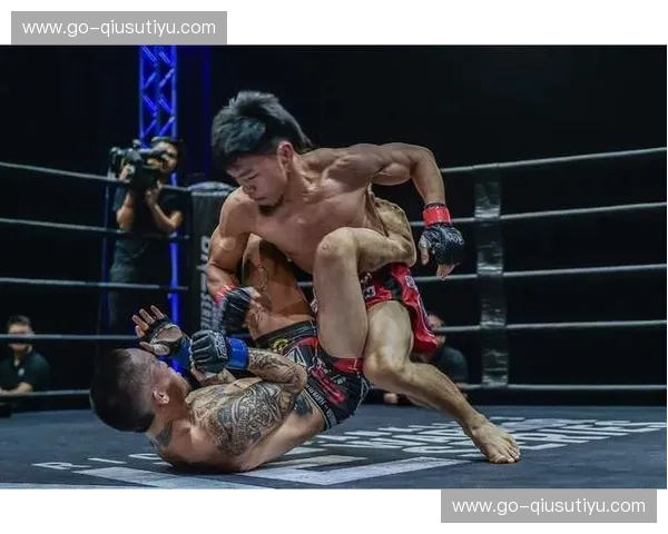 摔跤排名：擂台之外的秘密榜单，助你看清英雄本色